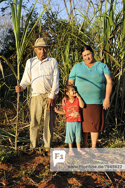 Kleinbauern  Mann  70 Jahre  Frau 47 Jahre  und Enkeltochter  3 Jahre  vor einer Zuckerrohrpflanzung