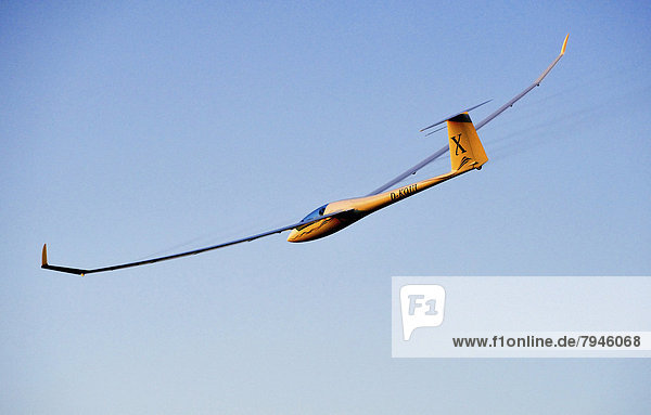 Quintus glider