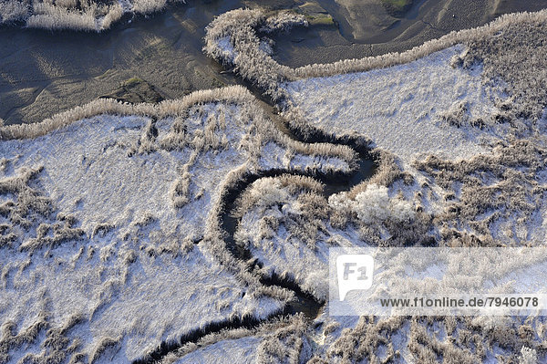 Luftbild  Priel in einem Süßwasserwatt im Winter