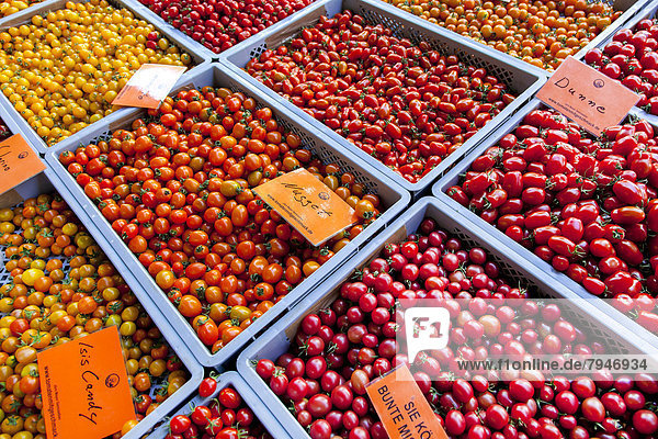 Verschiedene Tomatensorten an einem Marktstand