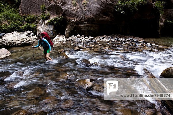 Anschnitt  benutzen  überqueren  Frau  Reise  Stange  Rucksackurlaub  Fluss  Regenwald  Kreuz  trekking  Utah