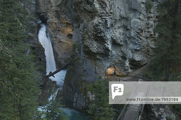 Mann , wandern , Banff Nationalpark , Alberta , Banff , Kanada , Schlucht , Lower Falls