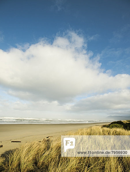 Landschaft