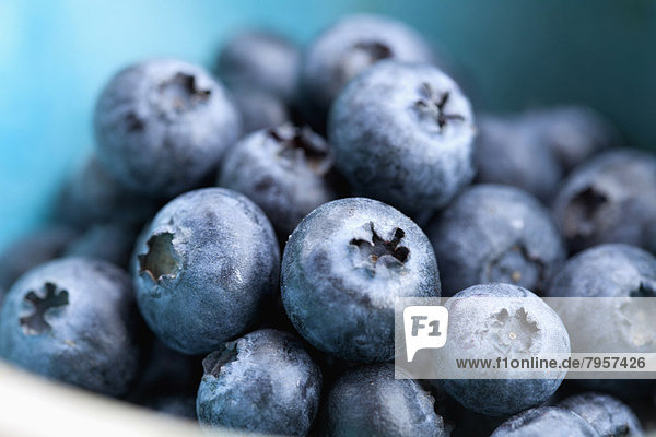 Studio Shot of blueberries
