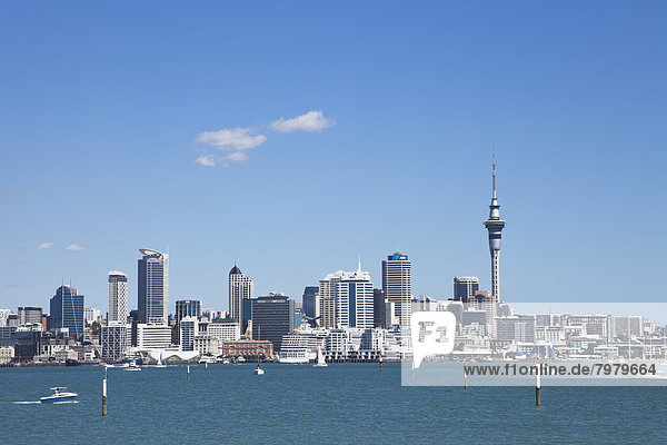 Neuseeland  Blick auf Skyline City Center