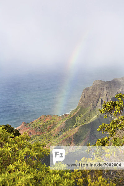 USA  Hawaii  Regenbogen über dem Tal