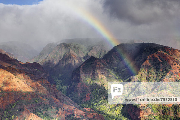 USA  Hawaii  Regenbogen über Canyon