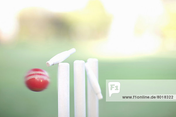 Cricketball mit Cricketstümpfen  Nahaufnahme