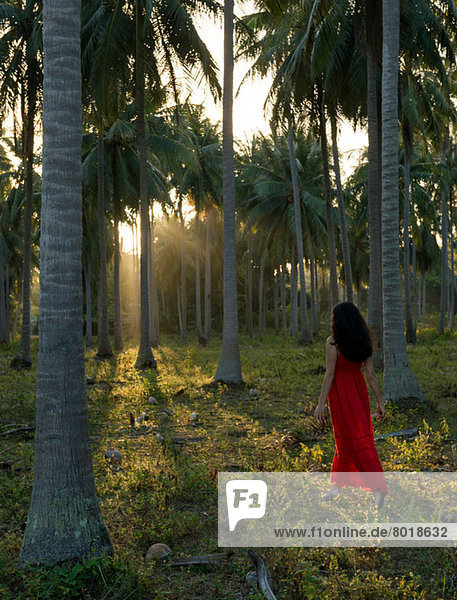 Frau in rotem Kleid im Palmenwald unterwegs