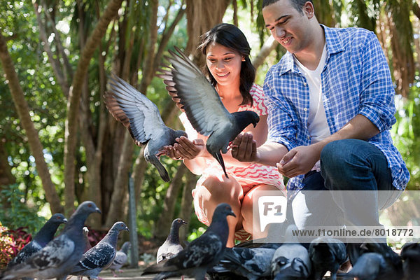 Junges Paar schaut Tauben im Park an