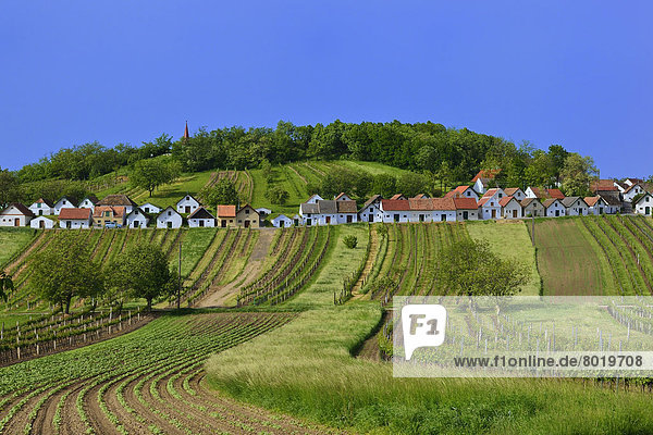 Felder und Weingärten vor der Kellergasse am Galgenberg