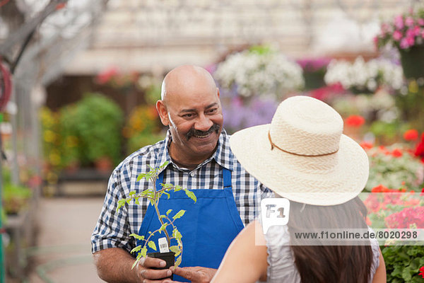 Reifer Mann  der junge Frau im Gartencenter bedient  lächelnd