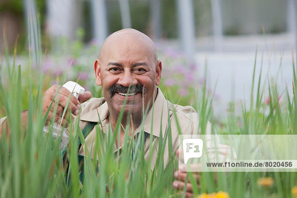 Reifer Mann mit Insektizid auf Pflanzen im Gewächshaus  Portrait