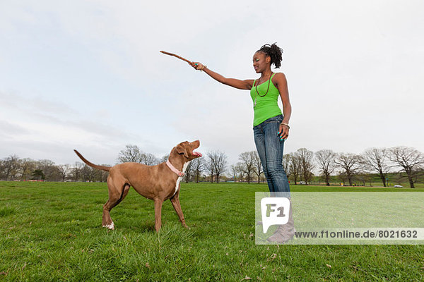 Young woman in park holding up stick for dog