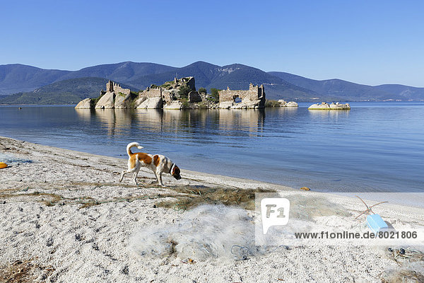 Byzantinische Festung auf Insel im Bafa-See  Hund und Fischernetz am Seeufer