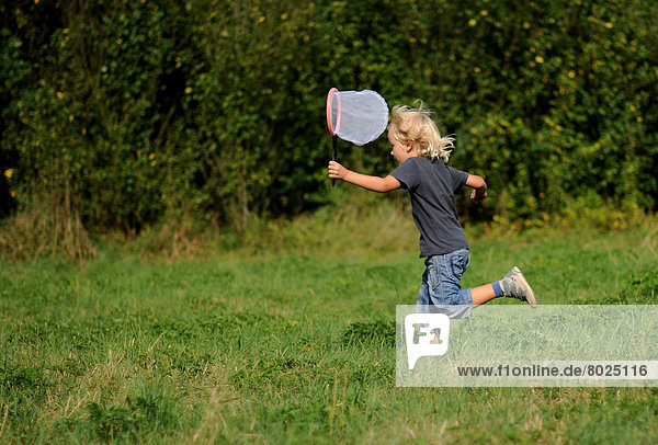 Boy with landing net is running across a meadow.