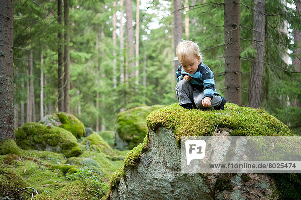 Little boy on a mossy rock in the forest.