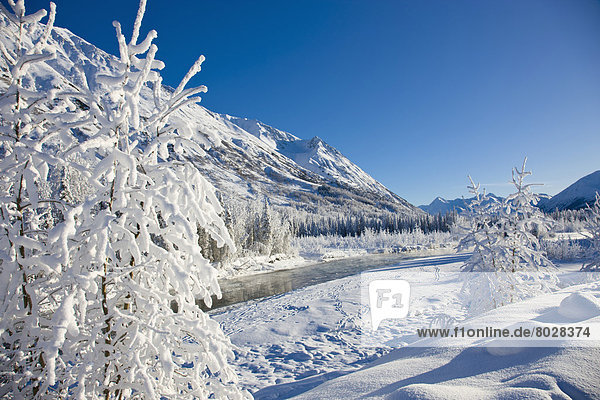 Winter  Osten  bedecken  Landschaft  Wald  Bach  vorwärts  Gabel  6  Kenai-Fjords-Nationalpark  Halbinsel  Schnee