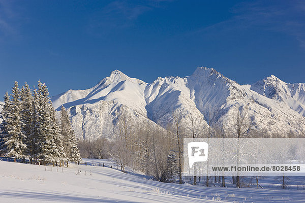 Landschaftlich schön  landschaftlich reizvoll  Berg  Winter  Amerika  Ansicht  Faulheit  faul  faule  faulen  fauler  faules  Verbindung  Alaska