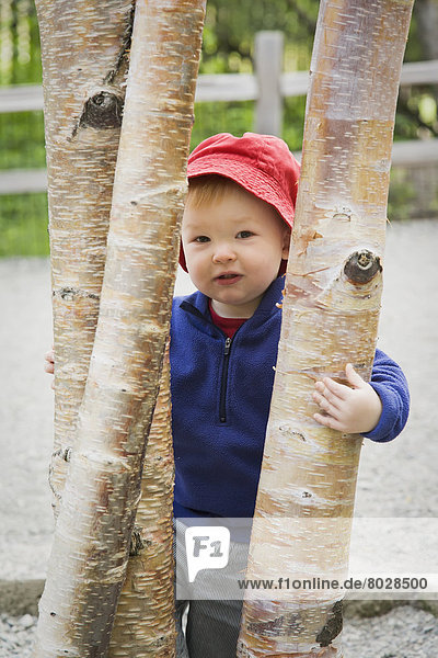 hinter  stehend  Portrait  Amerika  Junge - Person  Baum  Hut  rot  jung  Kleidung  Verbindung  Birke  Alaska  Anchorage