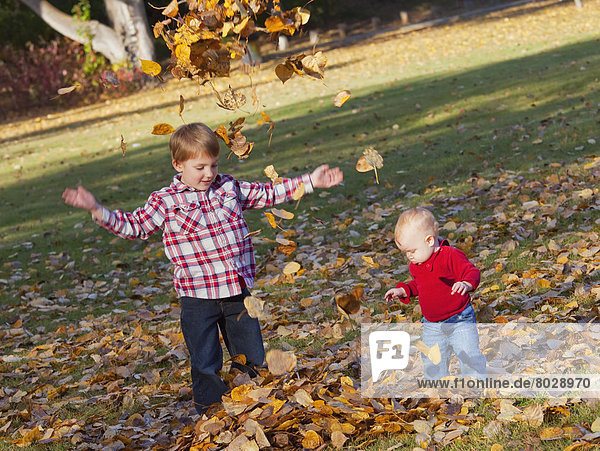Brother and sister playing in the leaves in a park in autumn Edmonton alberta canada