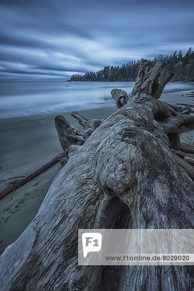 Six minute exposure of the clouds and ocean and a log florencia beach pacific rim national park British columbia canada