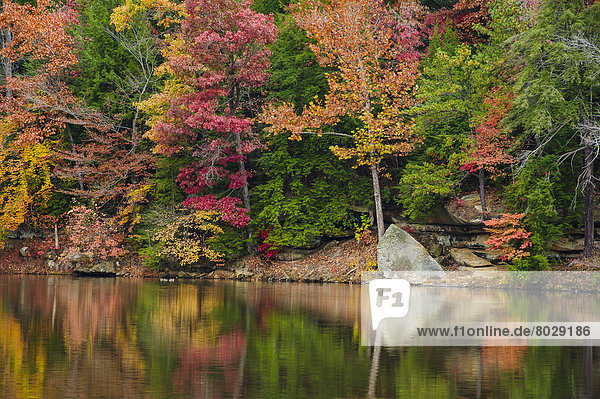 Farbaufnahme  Farbe  Baum  See  Spiegelung  Herbst