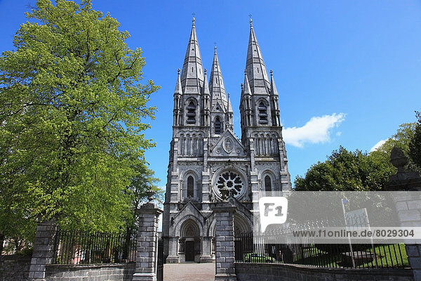 Saint fin barre's cathedral Cork city county cork ireland