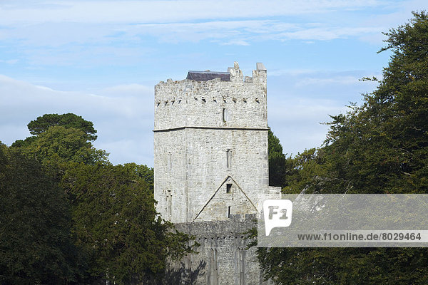 Muckross Abbey