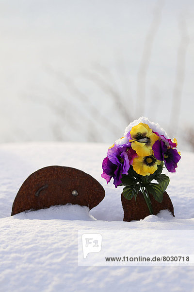 Stiefmütterchen, Viola Cornuta, Otter, Lutrinae, zwischen, inmitten, mitten, hoch, oben, Haufen, Skulptur, Amerika, Blume, Meer, Garten, Insel, Tatze, festhalten, Verbindung, Kodiak, Alaska, Alaska, Metall, Seide, Schnee