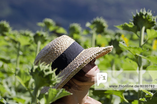 A woman wearing a sunhat stands in a field full of tall sunflowers Locarno ticino switzerland