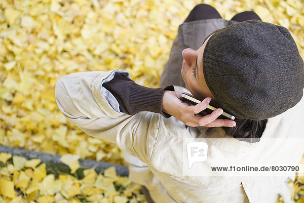 An overhead view of a woman talking on a cell phone with yellow leaves covering the ground Locarno ticino switzerland