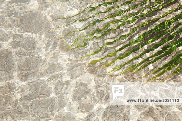 Wasser  Amerika  Strand  Pflanzenblatt  Pflanzenblätter  Blatt  unterhalb  seicht  Verbindung  Hawaii  Honolulu  Oahu