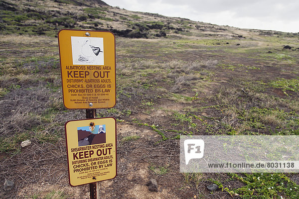Siedlung  Mensch  Amerika  Menschen  Zeichen  Warnung  Verbindung  nähern  Albatros  Hawaii  Honolulu  Oahu  Signal