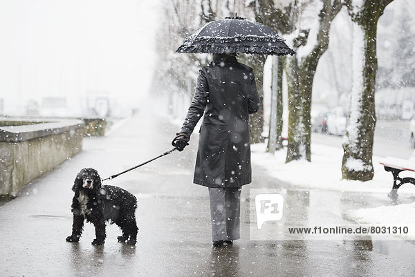 A woman walking her dog in a snowfall Locarno ticino switzerland
