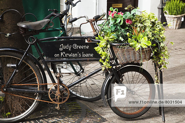 A sign and flower basket on a parked bicycle Galway city county galway ireland