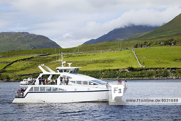 A boat with passengers travels into killary harbour Killary county galway ireland
