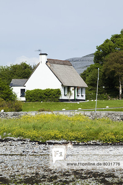 A white house and blue sky Ballyvaghan county clare ireland