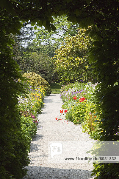 Mount usher gardens Ashford county wicklow ireland