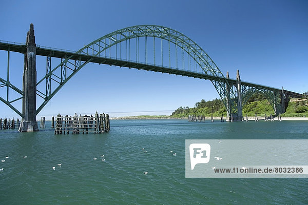 Oregon  Newport Harbour Bridge und Möwen  auch Yaquina River Bridge.