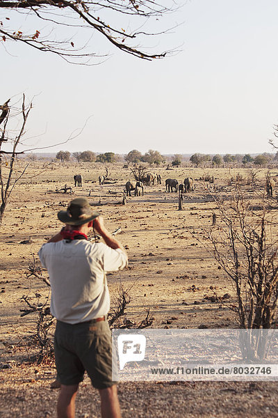 Africa  Zimbabwe  Hwange National Park  on safari  man viewing elephants at watering hole
