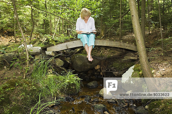 Laubwald  sitzend  Frau  Brücke  Algonquin Provincial Park  Kanada  Ontario  vorlesen
