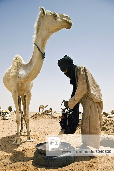 Niger