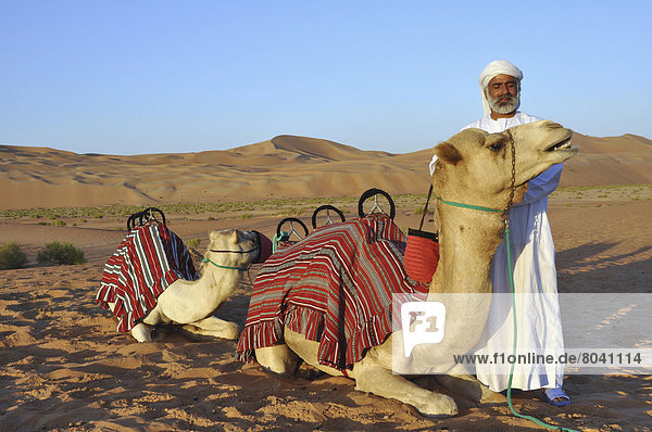 Führung  Anleitung führen  führt  führend  Vereinigte Arabische Emirate  VAE  Wüste  Düne  Kamel