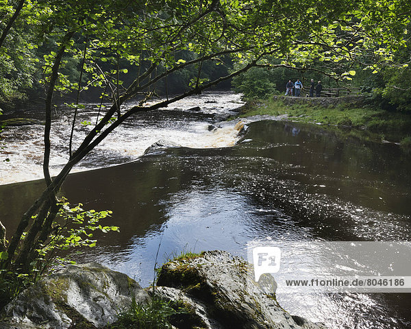 River Roe or Red River running through Roe Valley Country Park  Northern Ireland  United Kingdom