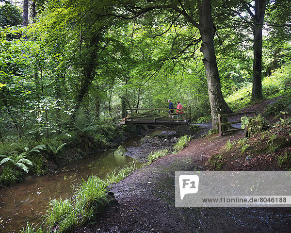Roe Valley Country Park on outskirts of Limavady  Northern Ireland  United Kingdom