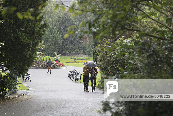 Heavy rain at Botanic Gardens Park  Belfast  Northern Ireland  United Kingdom