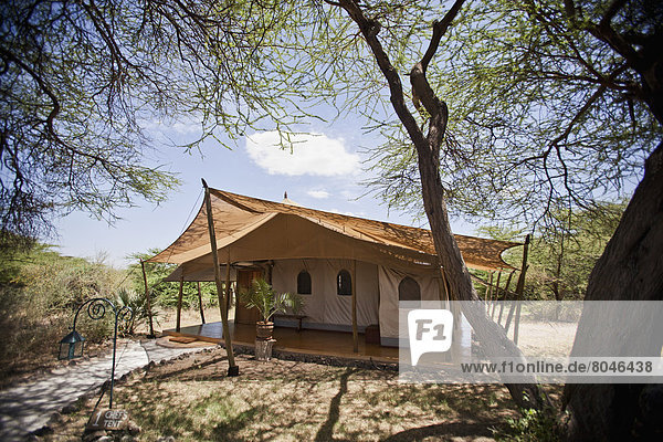 Luxury tented accommodation at Joy's Camp  Shaba National Reserve  Kenya
