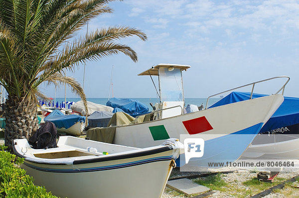 White and blue boats on pebble beach with palm tree and sea view  Porto Sant'Elpidio  Marche  Italy