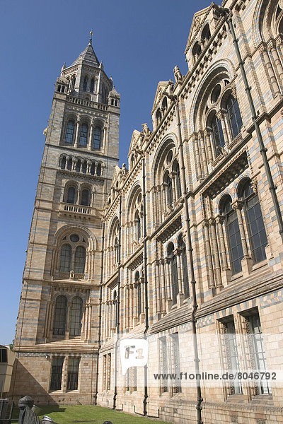 The Natural History Museum  London  England  Uk.